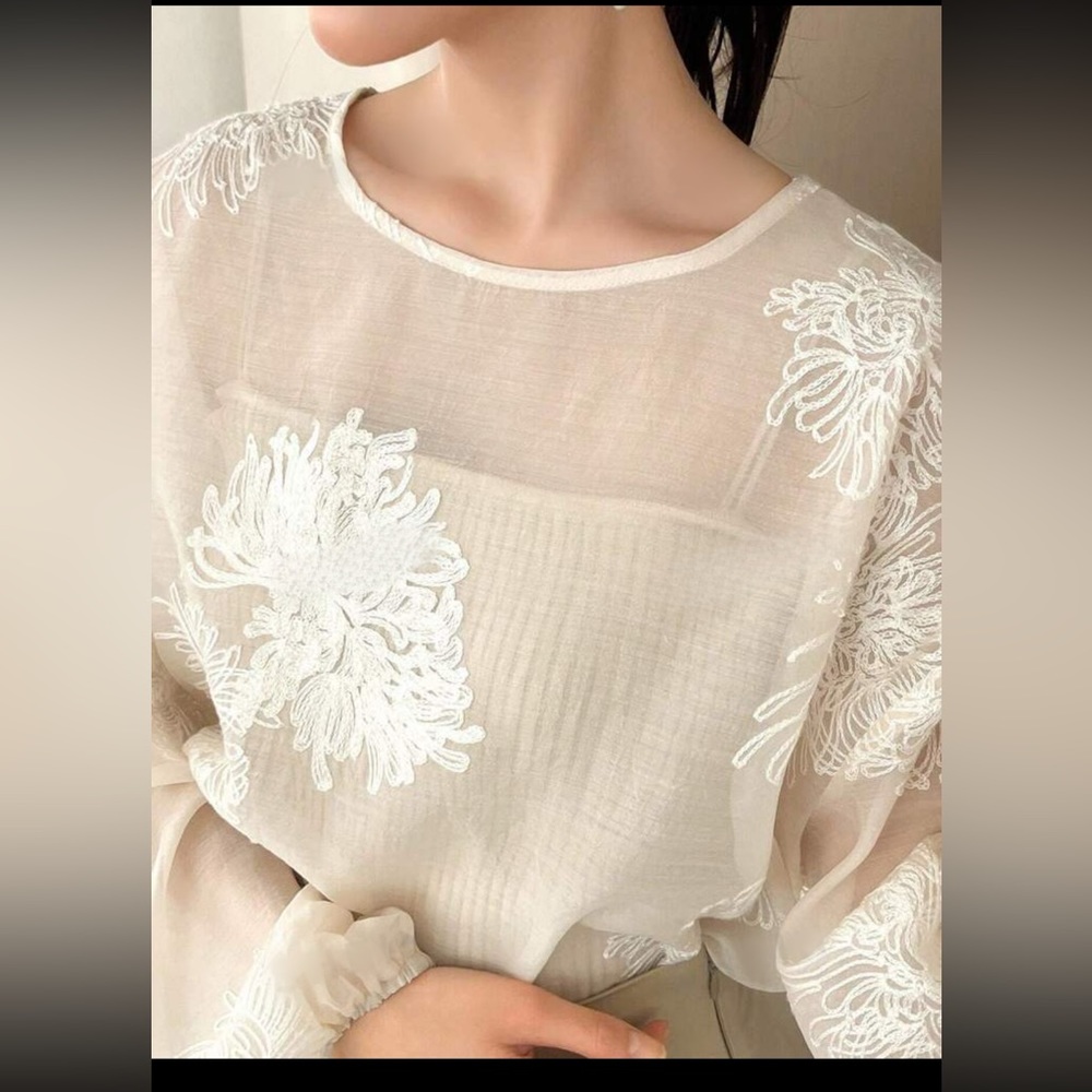 Embroidered floral print semi sheer puff sleeve blouse - Picture 3 of 5